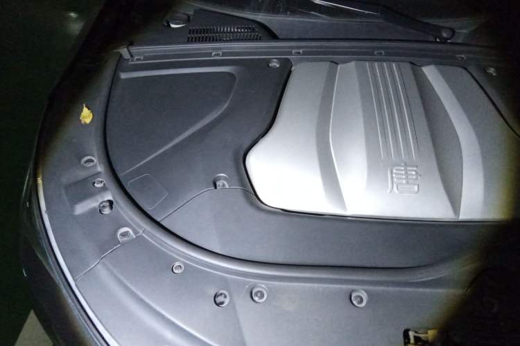 Used BYD Tang New Energy 2021 DM 2.0T Four-Wheel Drive High-Performance Flagship Model Engine Bay Right