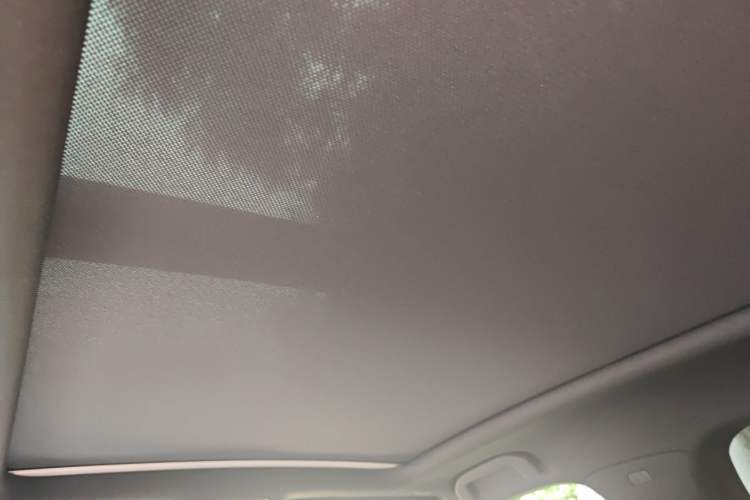 Used BYD Tang New Energy 2021 DM-i 112KM Prestige Model Headliner