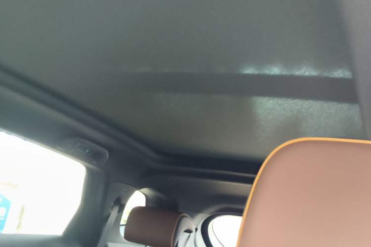 Used BYD Tang New Energy 2021 DM-i 112KM Prestige Model Headliner
