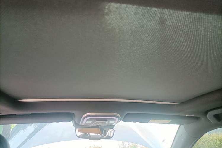 Used BYD Tang New Energy 2021 DM-i 112KM Prestige Model Headliner