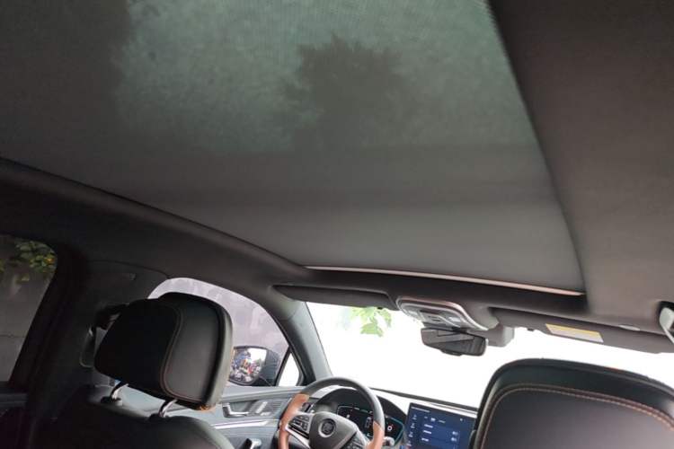 Used BYD Tang New Energy 2021 DM-i 112KM Prestige Model Headliner