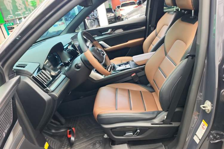 Used BYD Tang New Energy 2021 DM-i 52KM Luxury Model Left Front Seat