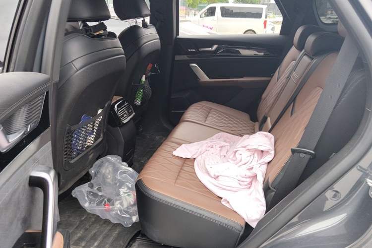 Used BYD Tang New Energy 2021 DM-i 112KM Prestige Model Left Rear Seat