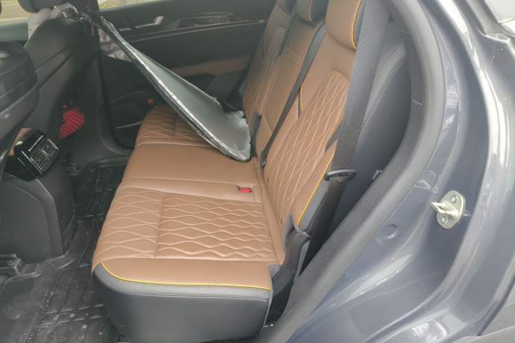 Used BYD Tang New Energy 2021 DM-i 112KM Prestige Model Left Rear Seat
