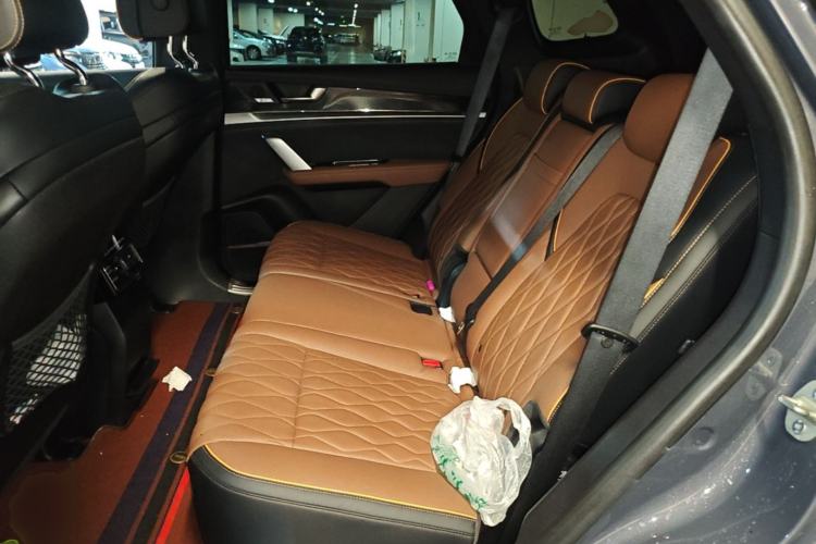 Used BYD Tang New Energy 2021 DM-i 112KM Prestige Model Left Rear Seat