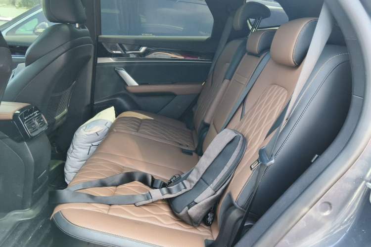 Used BYD Tang New Energy 2021 DM-i 112KM Prestige Model Left Rear Seat