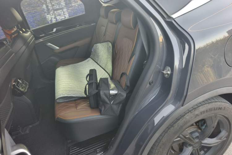 Used BYD Tang New Energy 2021 DM-i 112KM Prestige Model Left Rear Seat