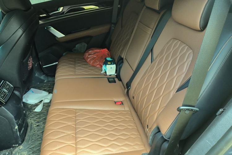Used BYD Tang New Energy 2021 DM-i 112KM Prestige Model Left Rear Seat