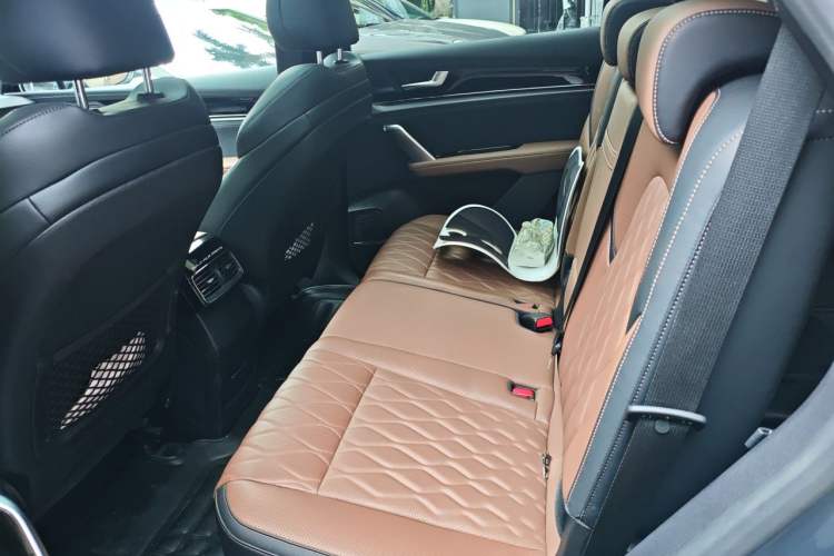 Used BYD Tang New Energy 2021 DM-i 112KM Prestige Model Left Rear Seat