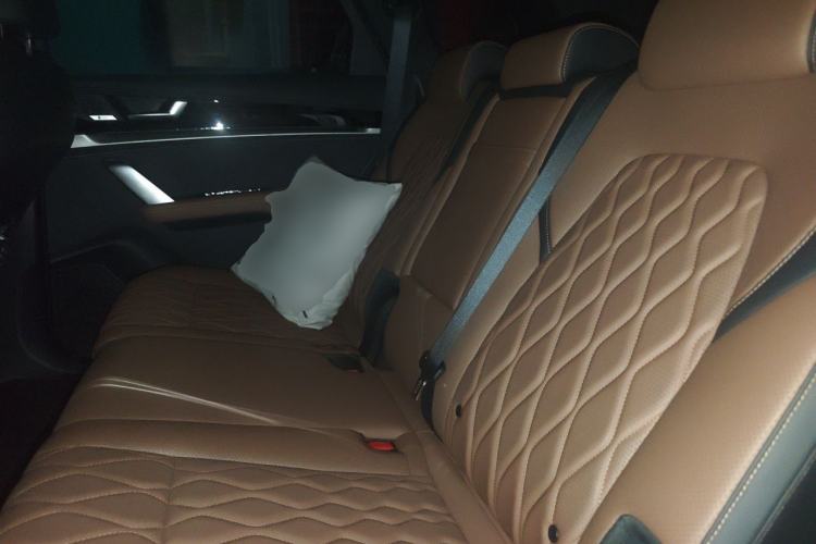 Used BYD Tang New Energy 2021 DM-i 112KM Prestige Model Left Rear Seat