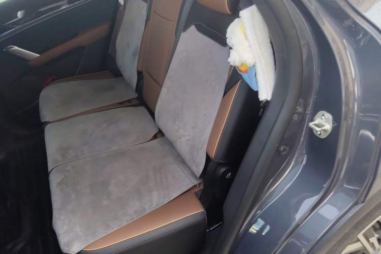 Used BYD Tang New Energy 2021 DM-i 112KM Prestige Model Left Rear Seat