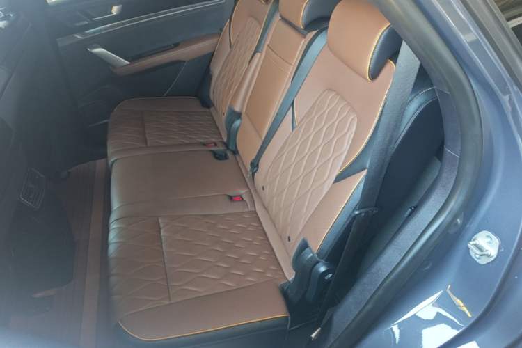 Used BYD Tang New Energy 2021 DM-i 112KM Prestige Model Left Rear Seat