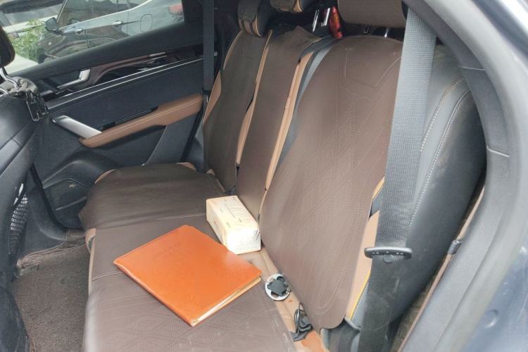 Used BYD Tang New Energy 2021 DM-i 112KM Prestige Model Left Rear Seat