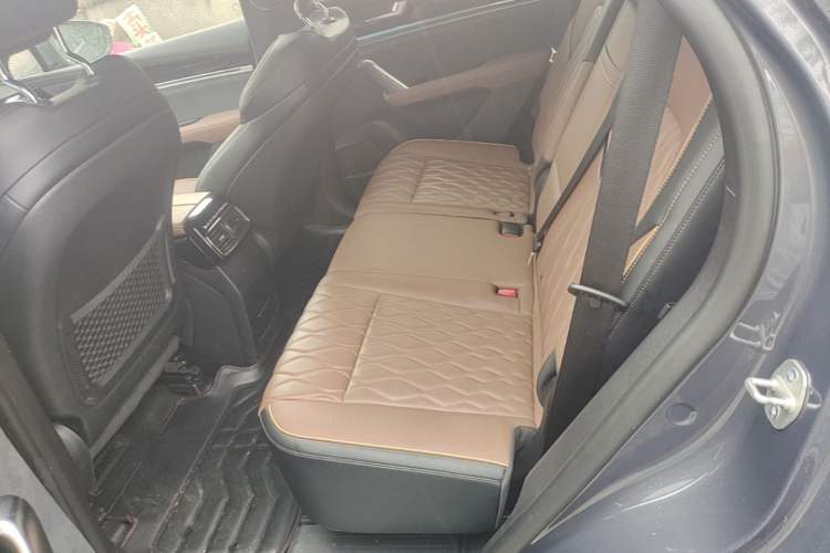 Used BYD Tang New Energy 2021 DM-i 112KM Prestige Model Left Rear Seat