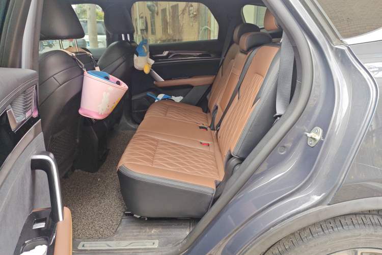 Used BYD Tang New Energy 2021 DM-i 112KM Prestige Model Left Rear Seat