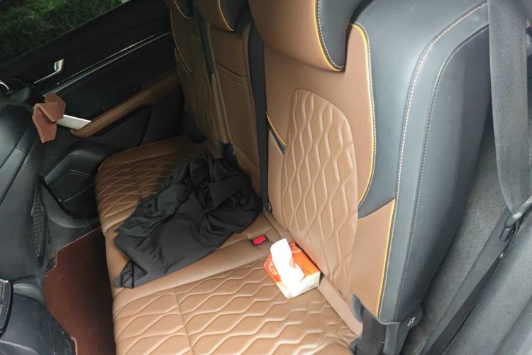 Used BYD Tang New Energy 2021 DM-i 112KM Prestige Model Left Rear Seat