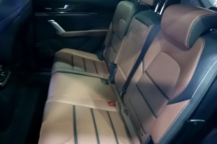Used BYD Tang New Energy 2021 DM 2.0T Four-Wheel Drive Performance Edition Prestige Model Left Rear Seat