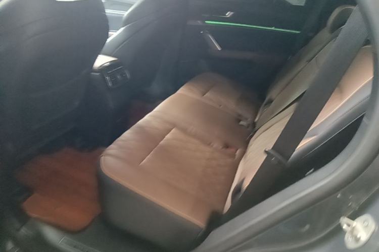 Used BYD Tang New Energy 2021 DM-i 112KM Prestige Model Left Rear Seat