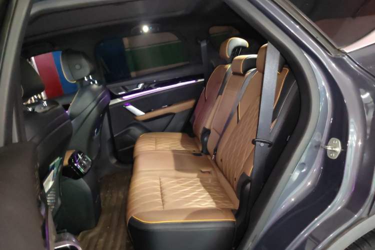 Used BYD Tang New Energy 2021 DM-i 112KM Prestige Model Left Rear Seat