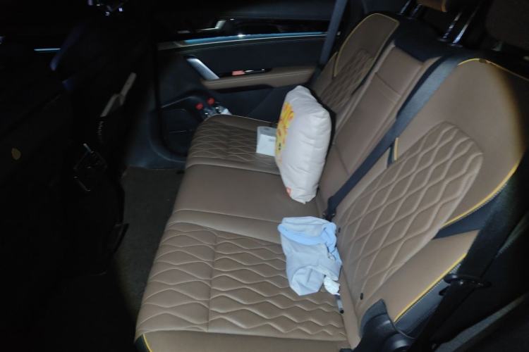 Used BYD Tang New Energy 2021 DM-i 112KM Prestige Model Left Rear Seat