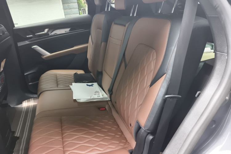 Used BYD Tang New Energy 2021 DM-i 112KM Prestige Model Left Rear Seat