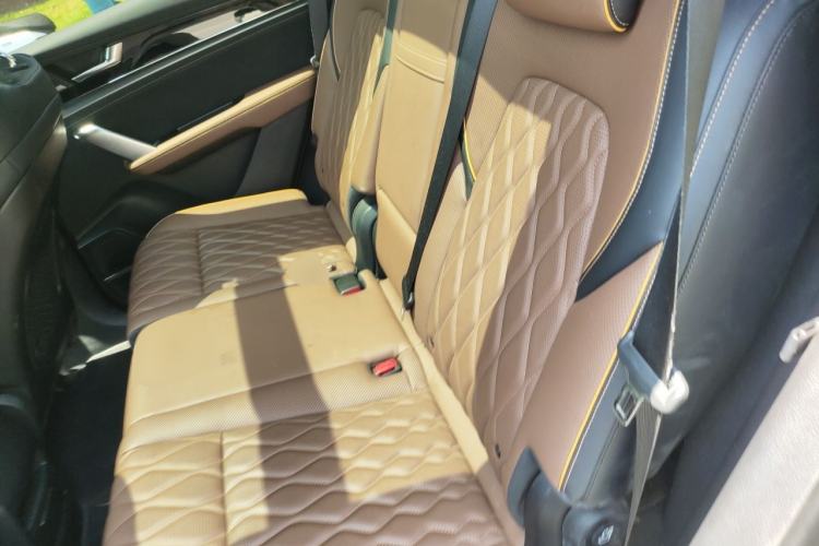Used BYD Tang New Energy 2021 DM 2.0T Four-Wheel Drive High-Performance Flagship Model Left Rear Seat