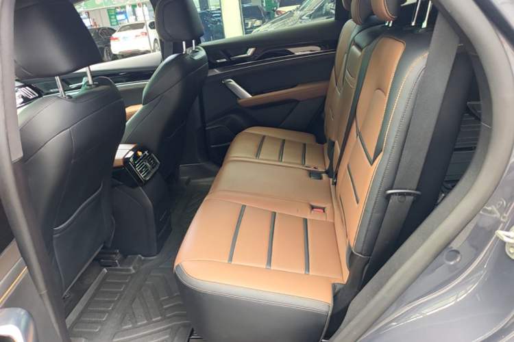 Used BYD Tang New Energy 2021 DM-i 52KM Luxury Model Left Rear Seat