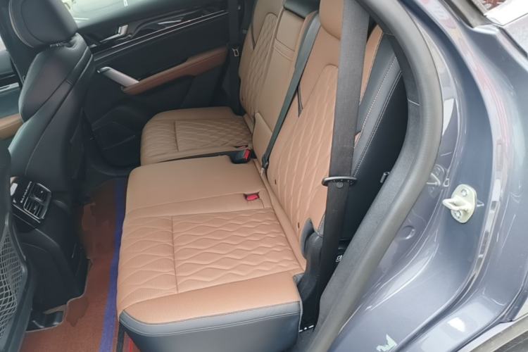 Used BYD Tang New Energy 2021 DM-i 112KM Prestige Model Left Rear Seat