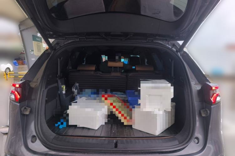 Used BYD Tang New Energy 2021 DM-i 112KM Prestige Model Trunk