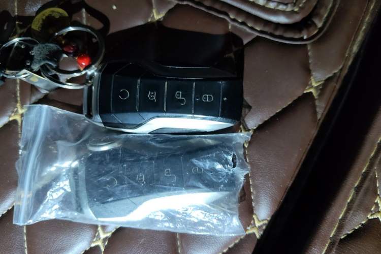 Used BYD Tang New Energy 2021 DM-i 112KM Prestige Model Vehicle Key