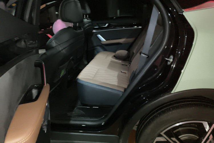 Used BYD Tang New Energy 2021 DM-i 112KM Prestige Model Left Rear Seat