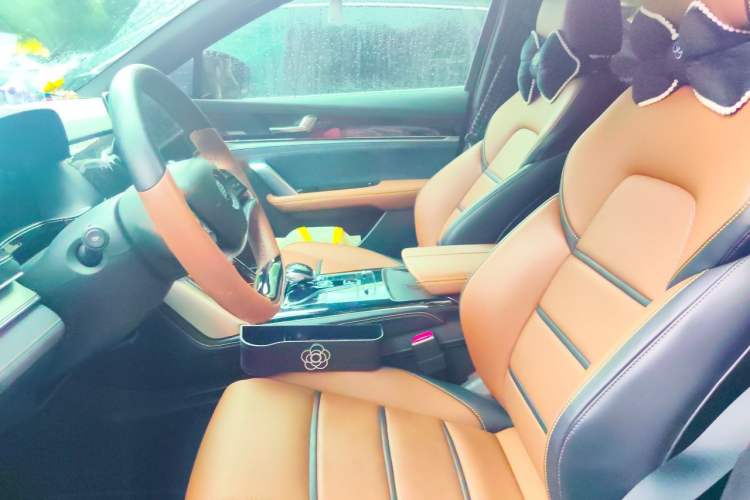 Used BYD Tang New Energy 2021 DM 2.0T Four-Wheel Drive High-Performance Luxury Model Left Front Seat