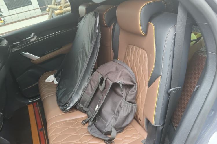 Used BYD Tang New Energy 2021 DM-i 112KM Prestige Model Left Rear Seat
