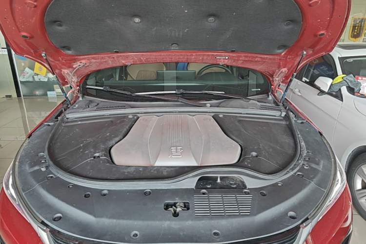Used BYD Tang New Energy 2021 DM 2.0T Four-Wheel Drive High-Performance Flagship Model Engine Bay