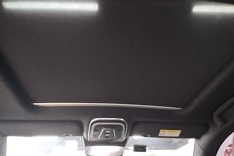 Used BYD Tang New Energy 2021 DM 2.0T Four-Wheel Drive High-Performance Luxury Model Headliner