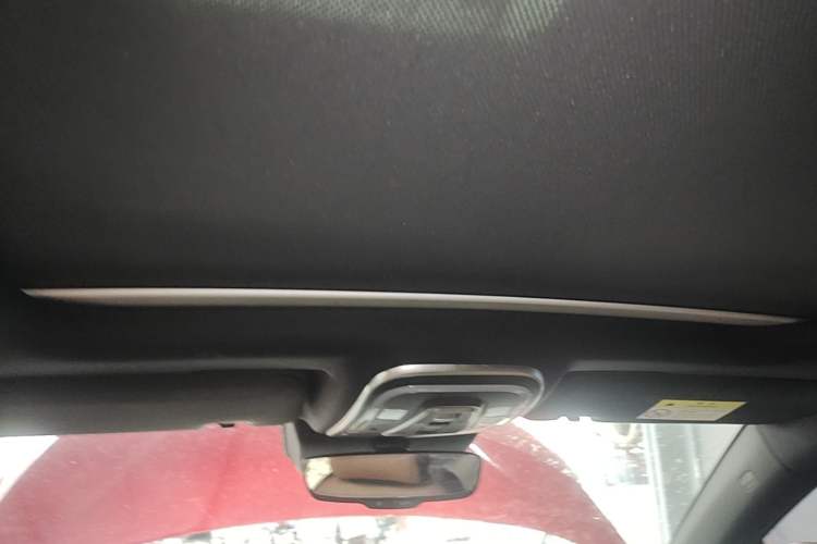 Used BYD Tang New Energy 2021 DM 2.0T Four-Wheel Drive High-Performance Luxury Model Headliner