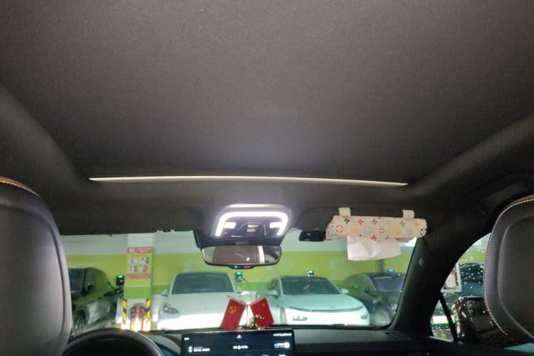 Used BYD Tang New Energy 2021 DM 2.0T Four-Wheel Drive Performance Edition Prestige Model Headliner