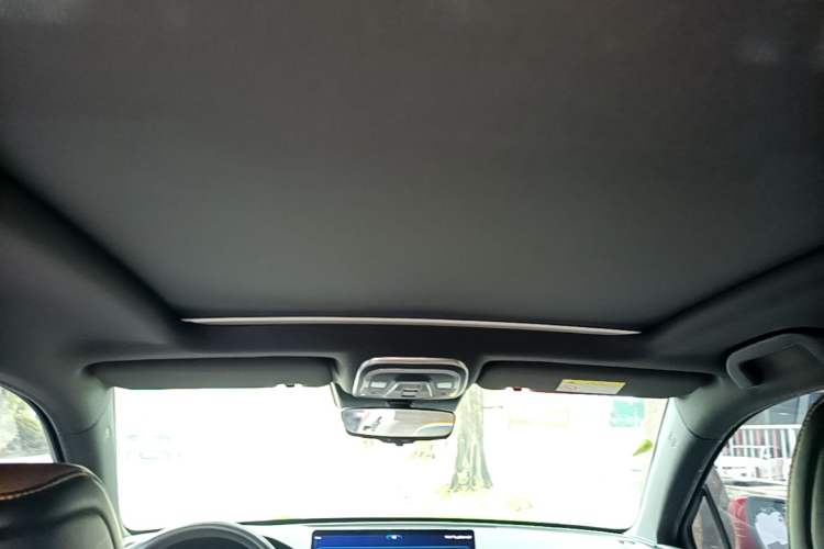 Used BYD Tang New Energy 2021 DM 2.0T Four-Wheel Drive Performance Edition Prestige Model Headliner