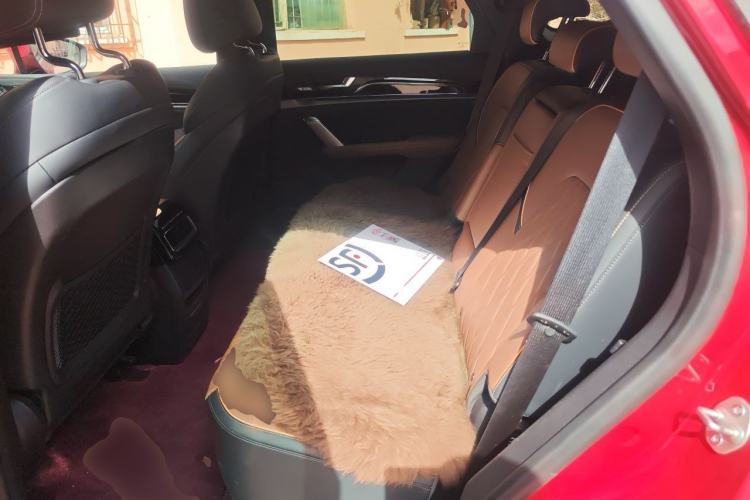 Used BYD Tang New Energy 2021 DM 2.0T Four-Wheel Drive High-Performance Flagship Model Left Rear Seat