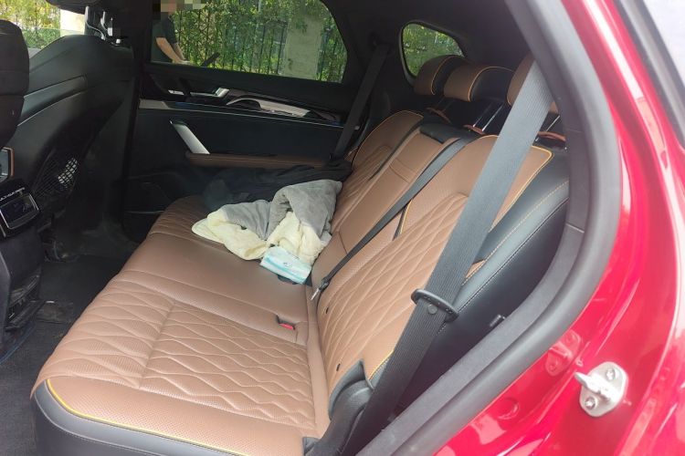 Used BYD Tang New Energy 2021 DM 2.0T Four-Wheel Drive High-Performance Flagship Model Left Rear Seat