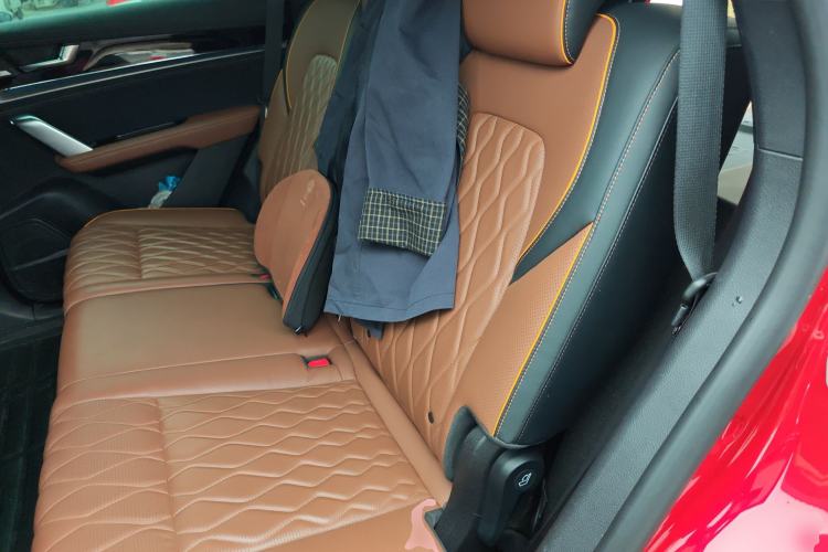 Used BYD Tang New Energy 2021 DM-i 112KM Prestige Model Left Rear Seat