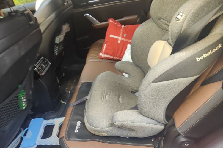 Used BYD Tang New Energy 2021 DM-i 112KM Prestige Model Left Rear Seat