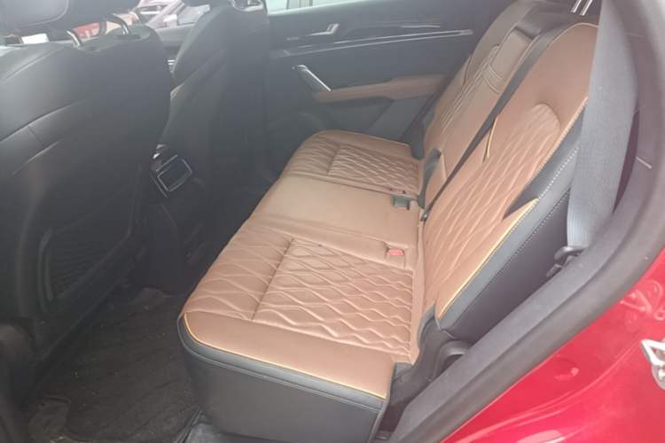 Used BYD Tang New Energy 2021 DM 2.0T Four-Wheel Drive High-Performance Flagship Model Left Rear Seat
