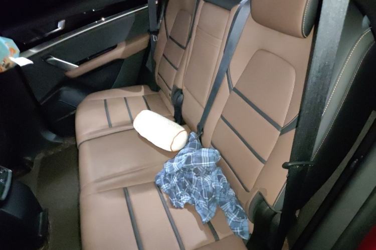 Used BYD Tang New Energy 2021 DM 2.0T Four-Wheel Drive Performance Edition Prestige Model Left Rear Seat