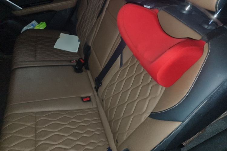 Used BYD Tang New Energy 2021 DM-i 112KM Prestige Model Left Rear Seat