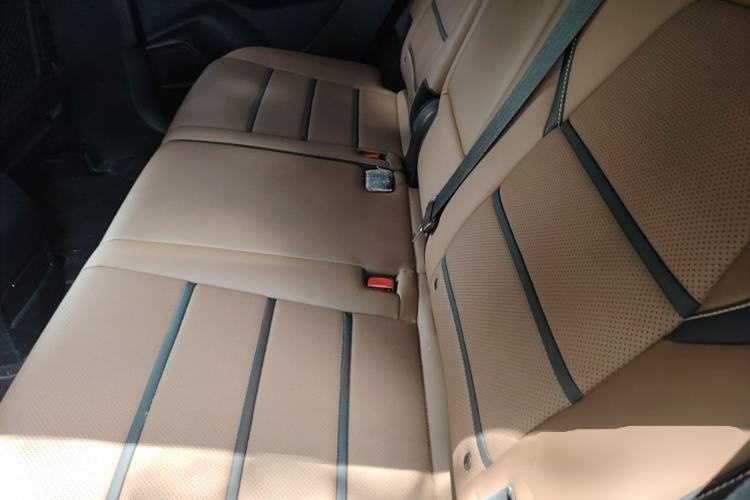 Used BYD Tang New Energy 2021 DM 2.0T Four-Wheel Drive Performance Edition Prestige Model Left Rear Seat