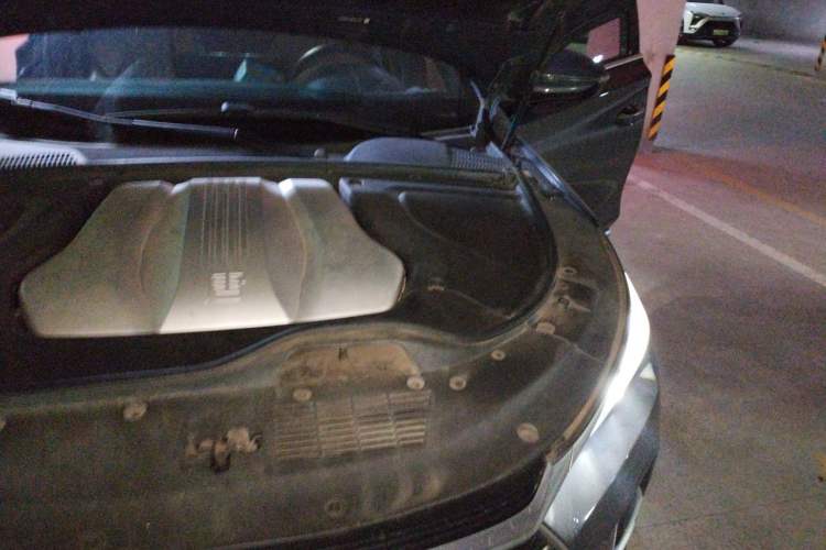 Used BYD Tang New Energy 2021 DM 2.0T Four-Wheel Drive High-Performance Flagship Model Engine Bay Left