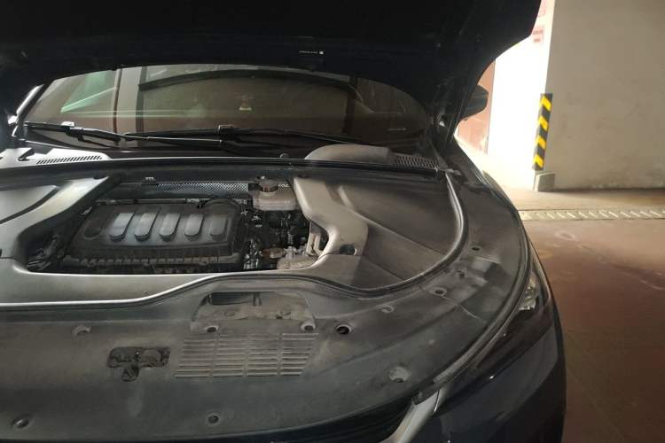 Used BYD Tang New Energy 2021 DM 2.0T Four-Wheel Drive High-Performance Flagship Model Engine Bay Left