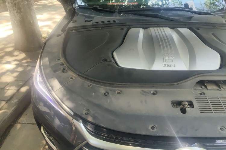 Used BYD Tang New Energy 2021 DM-i 112KM Prestige Model Engine Bay Right