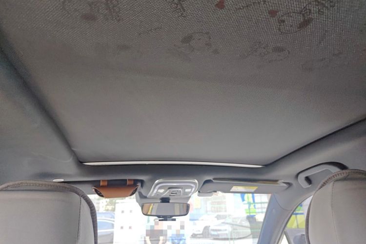 Used BYD Tang New Energy 2021 DM-i 112KM Prestige Model Headliner